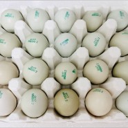 유정란 계란 숫자 의미 신선한 무항생제 1등급 알부자 청란