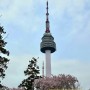 남산 둘레길 대신 지름길로 서울 타워 올라가기 : 벚꽃놀이 마무리
