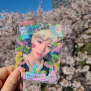 [일본생활] 4월 일본 요코하마 벚꽃 투어