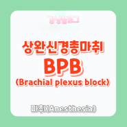 [상완신경총차단 마취준비] BPB(Brachial plexus block) 상지수술마취 어깨수술마취 손목수술마취 팔꿈치수술마취 마취간호사공부