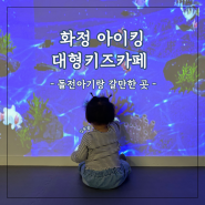 일산화정 아이킹 키즈파크 초대형키즈카페 : 베이비카페 (돌전아기 9개월아기랑)