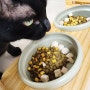 고양이밥그릇 세라믹 높이조절식기 나드리공방
