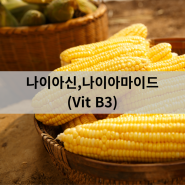 나이아신, 나이아신아마이드(Vit B3) - 인천터미널정형외과, 신사터미널마취통증의학과