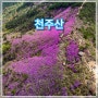 천주산 진달래 등산 후기(드론 풍경, 코스 정보)
