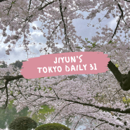 [도쿄 일상 31] 끝나지 않은 벚꽃 구경 💗 다와라마치에서 그릇 구경하기 🍽️