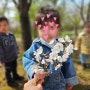 [인천봄꽃/벚꽃구경] 중앙공원/센트럴파크 봄나들이