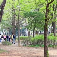 서울 공원 추천 강남 가볼만한곳 도산공원