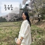 홍유릉 둘레길 산책 | 남양주 드라이브 가볼만한곳 (주차장 정보)