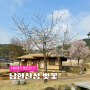 남한산성 벚꽃 현황 주차정보