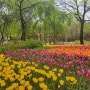 서울시, ''꽃 따라 걸어보는 산책, 서울숲에서 봄나들이 즐기세요''