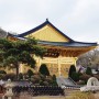 한국의 황금사원, 수국사의 봄날