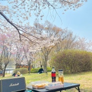 벚꽃과 함께 순삭한 4월 일기