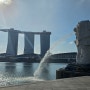 싱가포르 여행 / 마리나베이샌즈 멤버쉽 업그레이드하는 방법 및 스카이파크 전망대 삼판라이드 예약하기