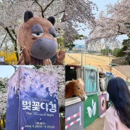 과천 경마공원 '렛츠런파크 서울 벚꽃축제' 말테마존 후기