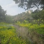 제주 중문 가볼만한 곳 , 중문 관광단지 볼거리: 엉덩물 계곡