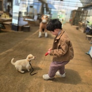 일산 동물원 :: 찬우물 체험 동물농장 6살 아들과 단둘이 데이트 ! 모래놀이 숲놀이까지!