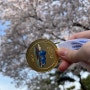 경주 벚꽃 마라톤 참가 후기