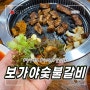 꼭 가봐야하는 충주 수안보 벚꽃축제!! 수안보맛집은 보가야숯불갈비