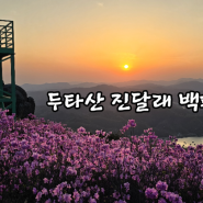 575th] 진천 두타산 진달래 백패킹(04월09일~10일)