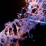 DNA RNA 기본 구조와 차이점