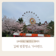 김해 놀이공원 벚꽃 명소 가야랜드