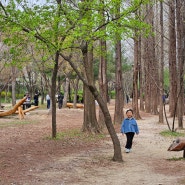 자연과 함께 노는, 월드컵공원 유아숲체험원