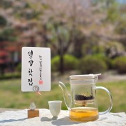 [일상찻집 티레터 2호]봄날의 티크닉(tea+picnic)