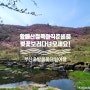 [경남/합천] 부산출발 봄꽃 당일여행 황매산 철쭉 개회 시기