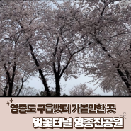 영종도 놀러가기1탄. 인천 영종도 구읍뱃터 가볼만한 곳, 영종진공원 벚꽃터널 막차타기