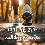 걷기 운동 효과 다이어트 도움 되는 올바른 걷기 방법 공유