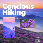 Concious Hiking(1차) - 북한산 진달래능선