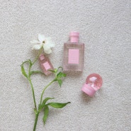 벚꽃 한정판 포맨트 시그니처 퍼퓸 코튼 메모리 핑크 블라썸 복숭아향 향수 추천