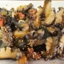 청산도 맛집 갯마을식당 남도음식다운 생선백반 해산물모듬회 후기