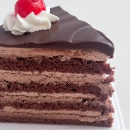 대전 생일케이크 크러쉬온드는 초코케이크 맛집이랍니다
