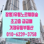 장평)유림노르웨이숲 초고층 급매