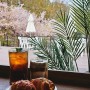 청주 비하동 부모산 전망좋은 벚꽃뷰 카페 니프