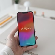 KT닷컴 아이폰14 플러스, 프로, 맥스 리패키징 리퍼폰 후기