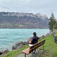 스위스 3박 4일 여행일정/ 1일차 브리엔츠 호수/ 스위스 3월 4월 날씨 옷차림 / Coop마트 추천템