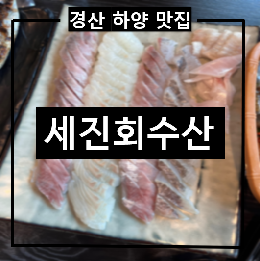 경산 하양 모듬회 해산물 맛집 
