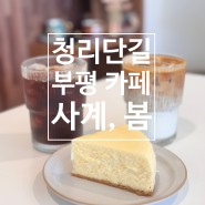 청리단길카페ㅣ굴포천 벚꽃 데이트 코스 커피맛집 사계, 봄