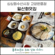 일산회맛집 신선하고 맛있는 활어회와 매콤시원한 매운탕