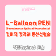 [신경외과 시술] L-Balloon-PEN(lumbar balloon Percutaneous epidural neuroplasty) 요추경막외풍선신경성형술 경막외신경성형술
