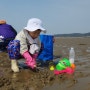 아이와 가 볼 만한 곳 추천 서천 선도리 갯벌체험장 맛조개 잡는 방법