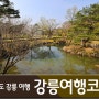 강릉 데이트 코스 : 오죽헌, 화폐박물관, 안목해변 커피거리, 오션뷰 카페, 주문진 수산시장