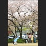 서울 정독도서관 벚꽃·꽃사과·철쭉