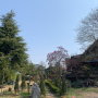 강화 김포 월곶면 큰 정원이 있는 산장 느낌 카페 / 세컨피기하우스