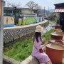 경북 청도여행 삼신1리 벽화마을 봄소풍 장소 딱 좋아요