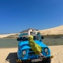 [베트남] 나트랑 자매여행 3박5일 자유여행 맛집 코스 경비 공유(호핑투어, 시내, 판랑사막)