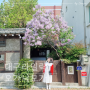 오가닉모가 - 대구 대봉동 한옥 카페 라일락 명소(24.04.10)