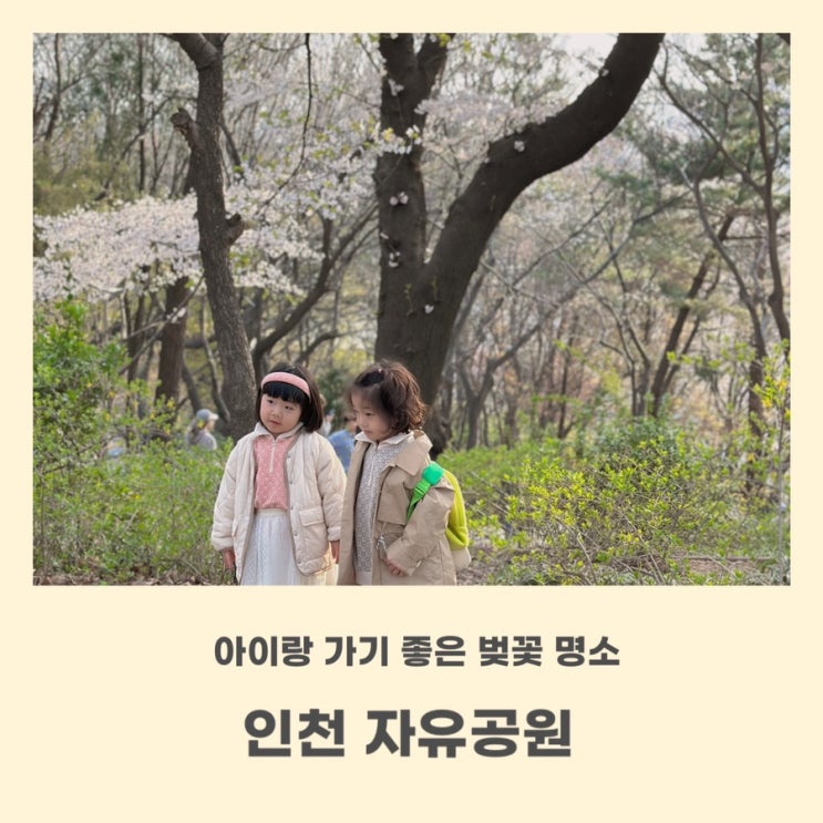 인천 벚꽃명소 자유공원 아이와 함께 하는 추천코스
